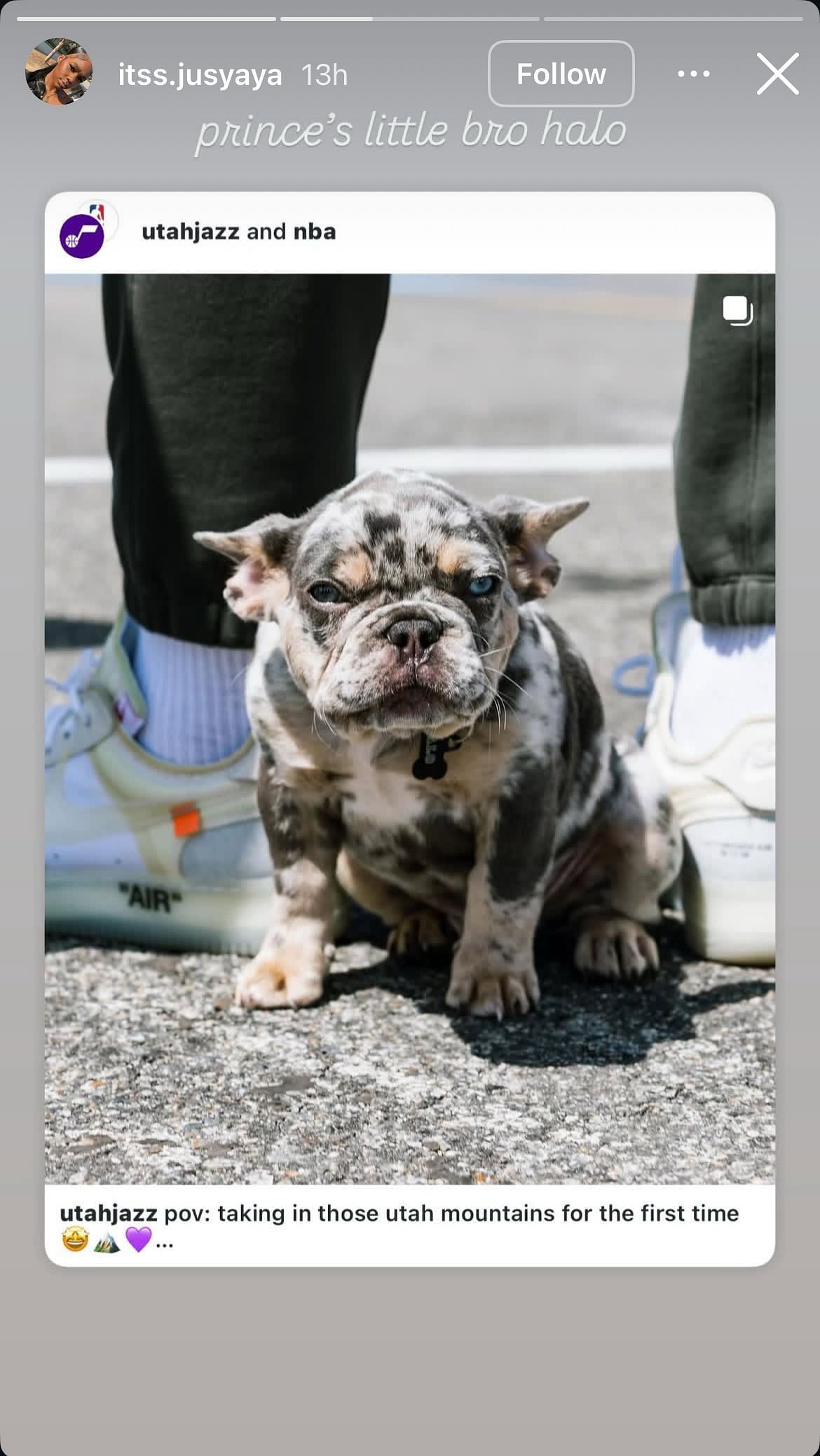 Ace Bailey’s girlfriend Mariah’s comment on his pet bulldog - Image via Instagram @itss.jusyaya